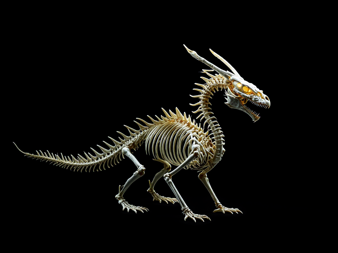 Dragon skeleton in studio